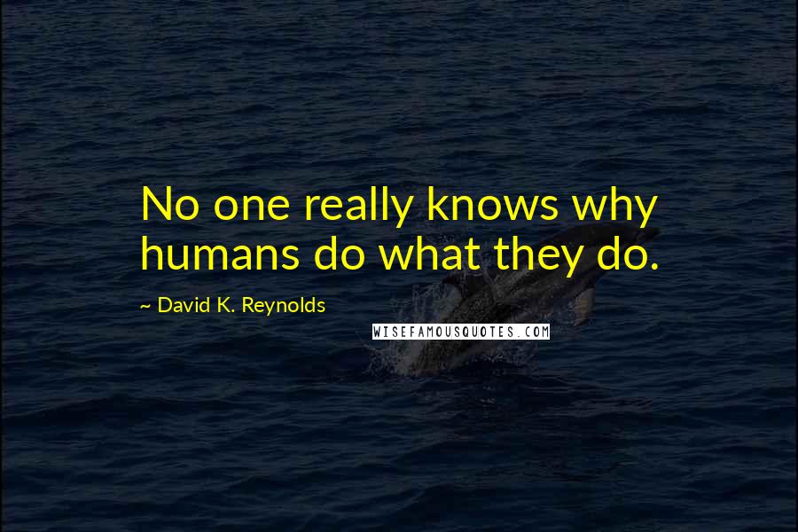 David K. Reynolds Quotes: No one really knows why humans do what they do.