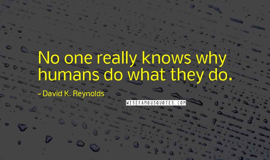 David K. Reynolds Quotes: No one really knows why humans do what they do.