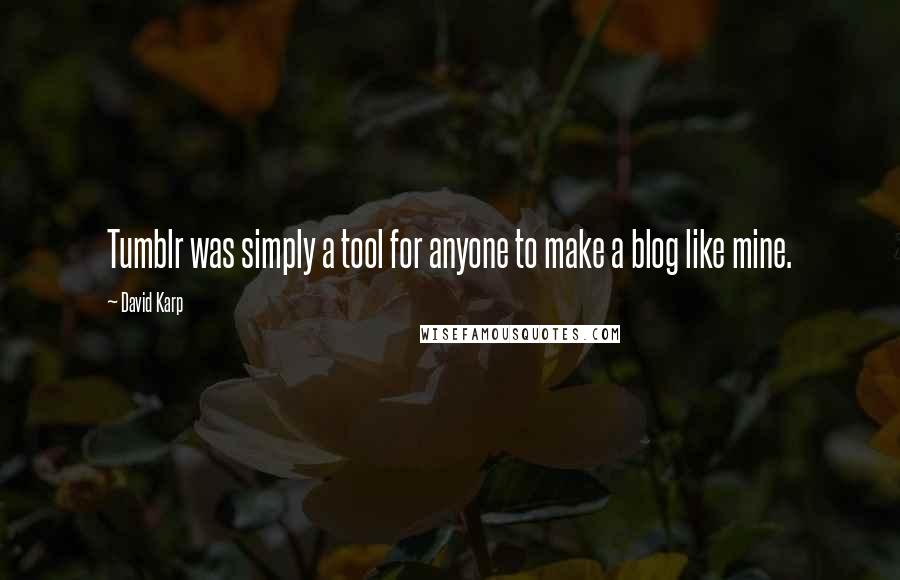 David Karp Quotes: Tumblr was simply a tool for anyone to make a blog like mine.