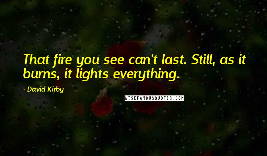 David Kirby Quotes: That fire you see can't last. Still, as it burns, it lights everything.