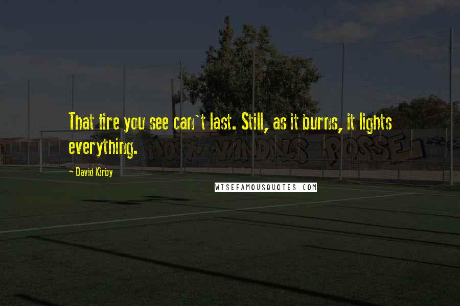 David Kirby Quotes: That fire you see can't last. Still, as it burns, it lights everything.