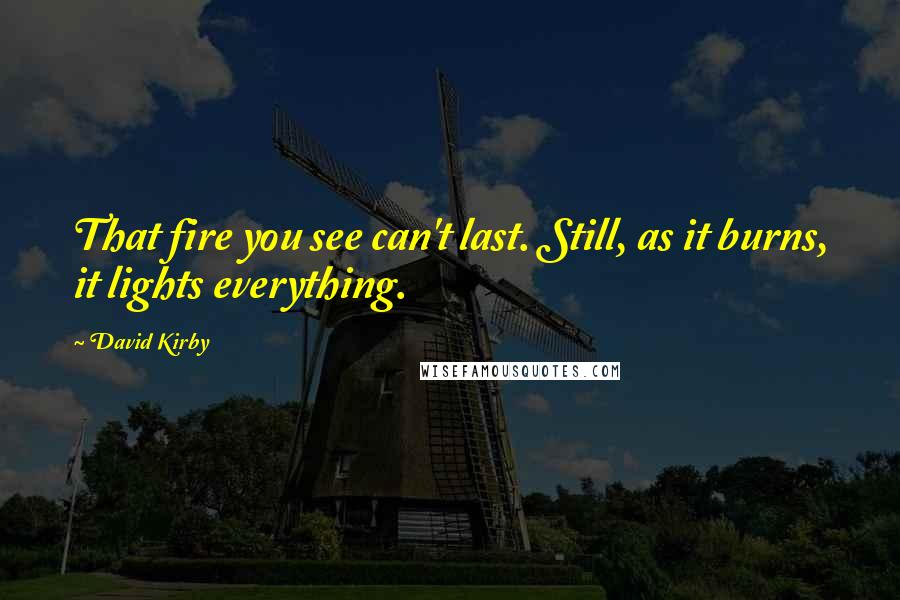 David Kirby Quotes: That fire you see can't last. Still, as it burns, it lights everything.