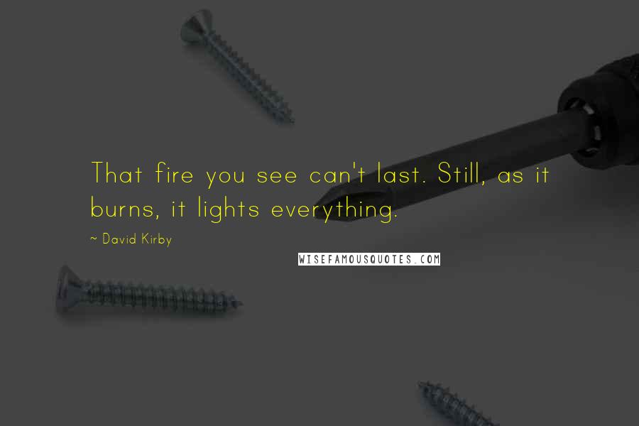 David Kirby Quotes: That fire you see can't last. Still, as it burns, it lights everything.