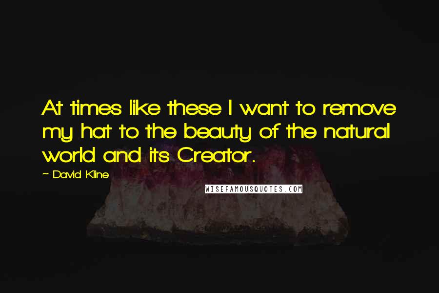 David Kline Quotes: At times like these I want to remove my hat to the beauty of the natural world and its Creator.