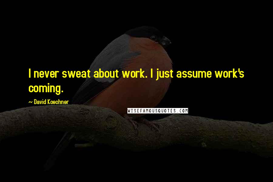 David Koechner Quotes: I never sweat about work. I just assume work's coming.