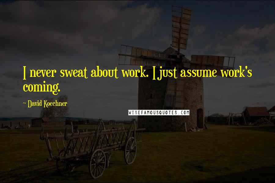 David Koechner Quotes: I never sweat about work. I just assume work's coming.