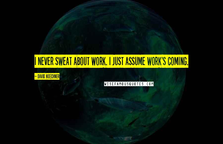 David Koechner Quotes: I never sweat about work. I just assume work's coming.