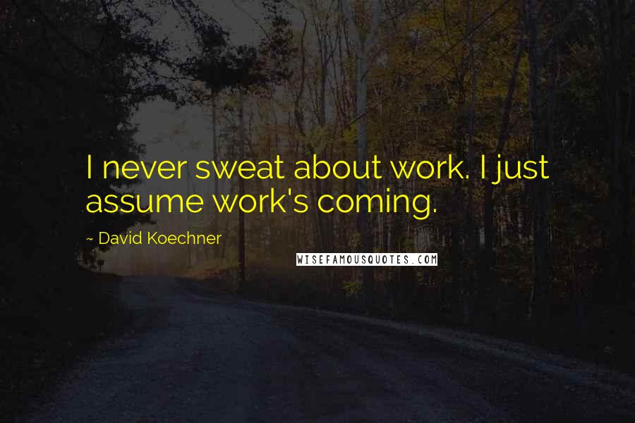 David Koechner Quotes: I never sweat about work. I just assume work's coming.