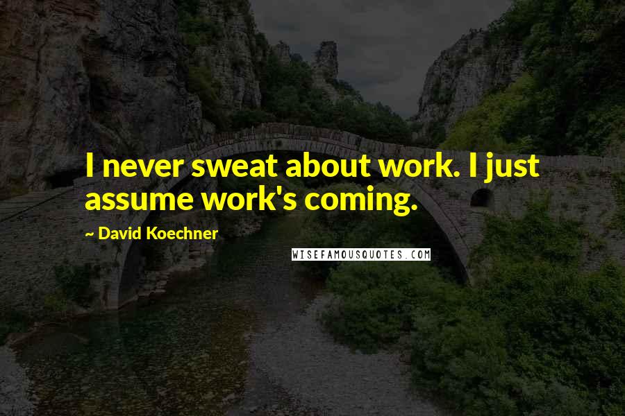 David Koechner Quotes: I never sweat about work. I just assume work's coming.