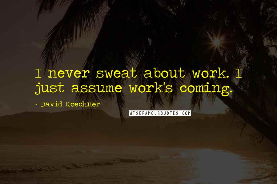 David Koechner Quotes: I never sweat about work. I just assume work's coming.