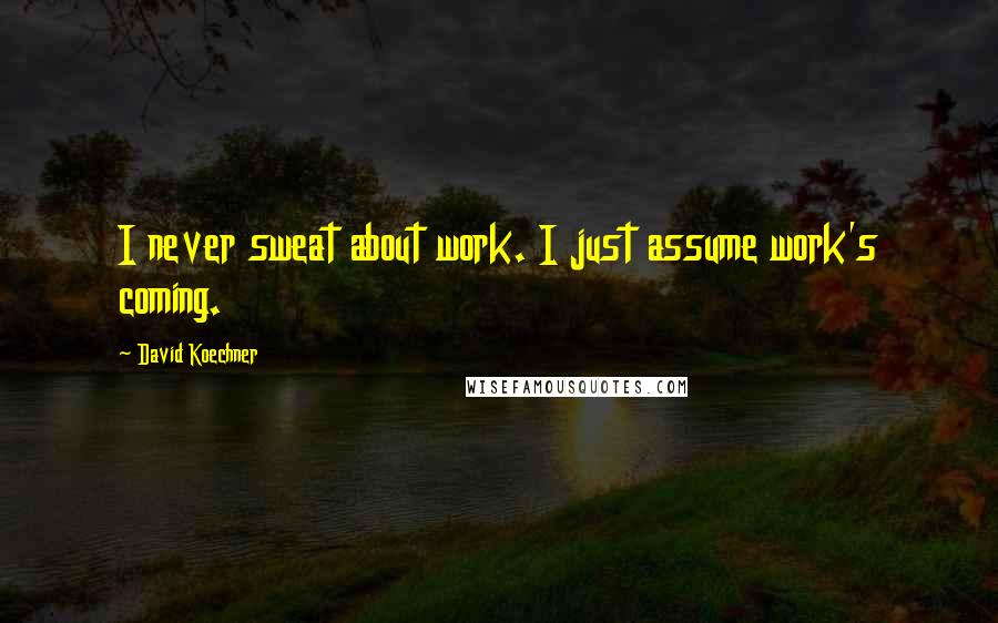 David Koechner Quotes: I never sweat about work. I just assume work's coming.