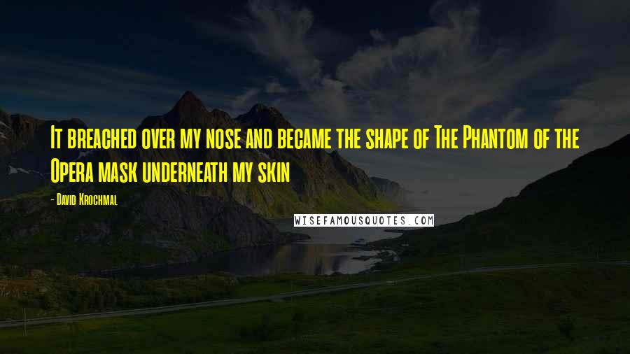 David Krochmal Quotes: It breached over my nose and became the shape of The Phantom of the Opera mask underneath my skin