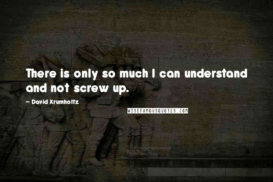 David Krumholtz Quotes: There is only so much I can understand and not screw up.