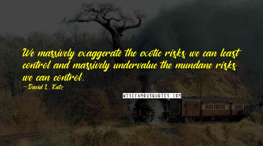 David L. Katz Quotes: We massively exaggerate the exotic risks we can least control and massively undervalue the mundane risks we can control.