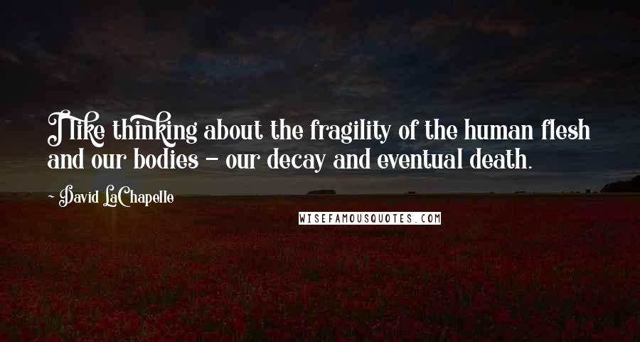 David LaChapelle Quotes: I like thinking about the fragility of the human flesh and our bodies - our decay and eventual death.