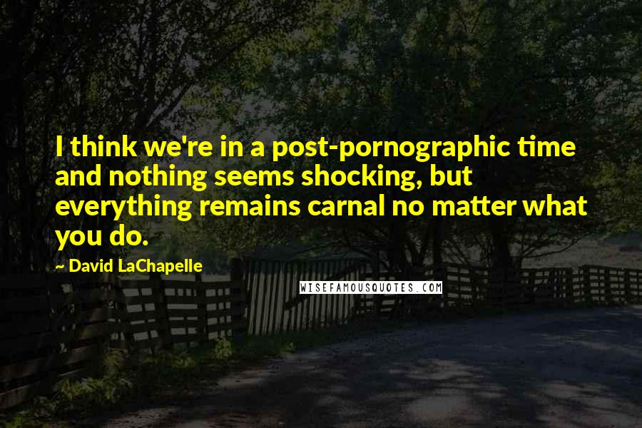 David LaChapelle Quotes: I think we're in a post-pornographic time and nothing seems shocking, but everything remains carnal no matter what you do.