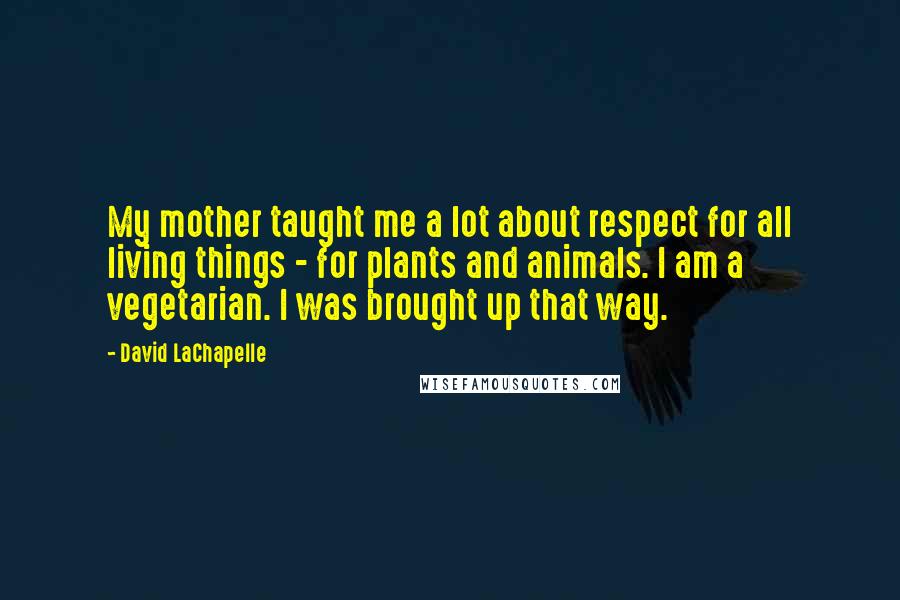 David LaChapelle Quotes: My mother taught me a lot about respect for all living things - for plants and animals. I am a vegetarian. I was brought up that way.