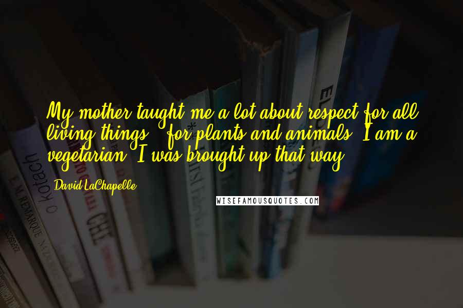 David LaChapelle Quotes: My mother taught me a lot about respect for all living things - for plants and animals. I am a vegetarian. I was brought up that way.