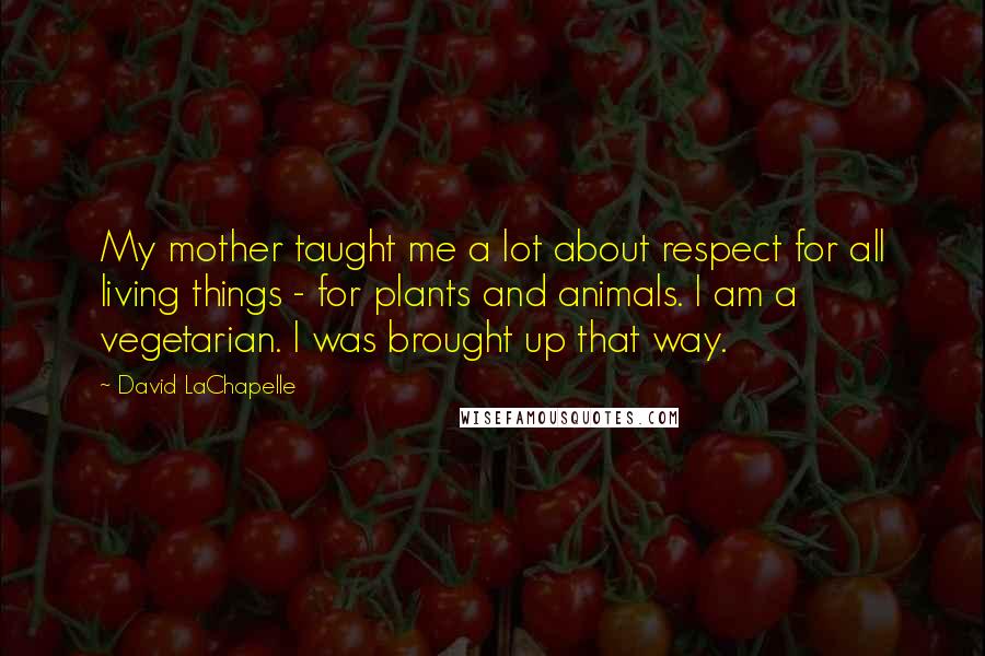 David LaChapelle Quotes: My mother taught me a lot about respect for all living things - for plants and animals. I am a vegetarian. I was brought up that way.