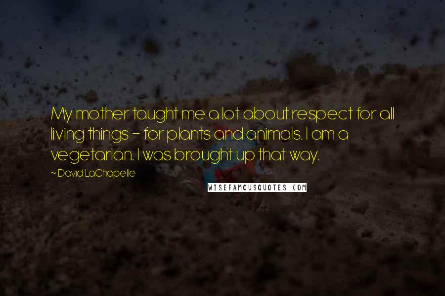 David LaChapelle Quotes: My mother taught me a lot about respect for all living things - for plants and animals. I am a vegetarian. I was brought up that way.