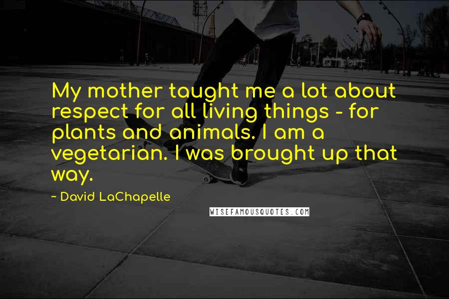 David LaChapelle Quotes: My mother taught me a lot about respect for all living things - for plants and animals. I am a vegetarian. I was brought up that way.