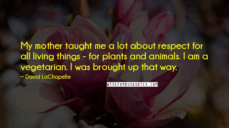 David LaChapelle Quotes: My mother taught me a lot about respect for all living things - for plants and animals. I am a vegetarian. I was brought up that way.