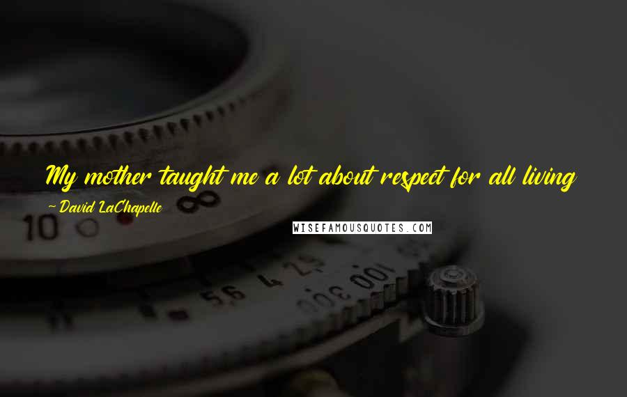 David LaChapelle Quotes: My mother taught me a lot about respect for all living things - for plants and animals. I am a vegetarian. I was brought up that way.