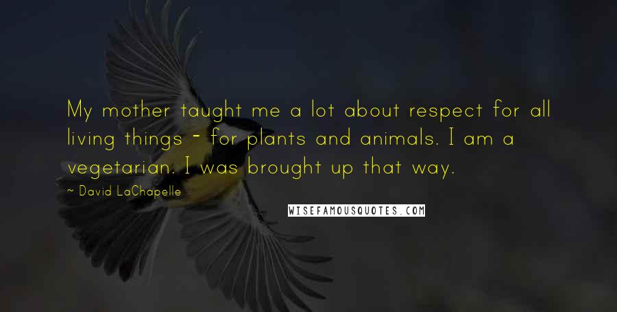 David LaChapelle Quotes: My mother taught me a lot about respect for all living things - for plants and animals. I am a vegetarian. I was brought up that way.