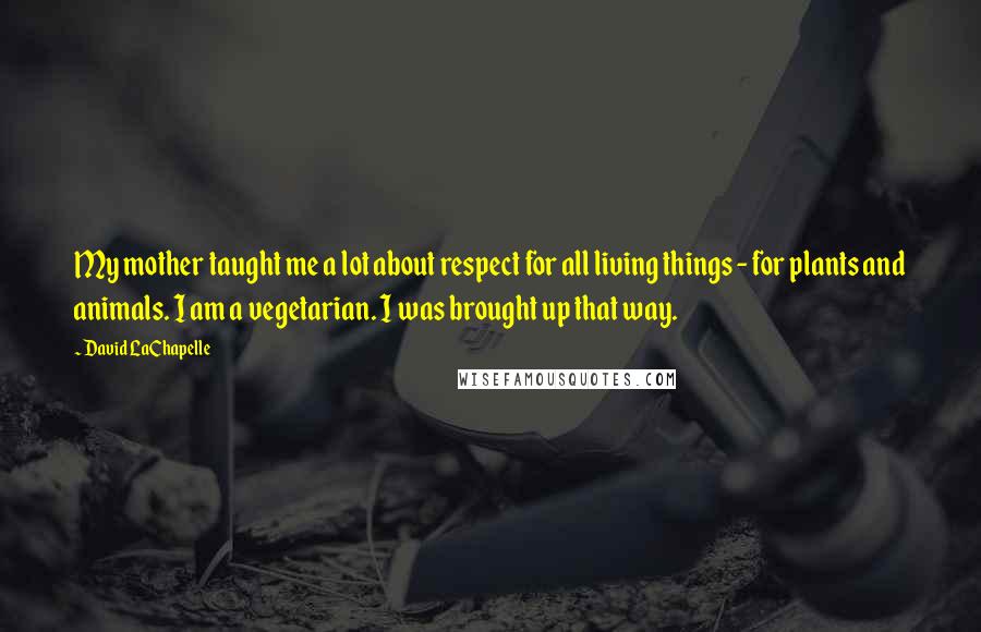 David LaChapelle Quotes: My mother taught me a lot about respect for all living things - for plants and animals. I am a vegetarian. I was brought up that way.