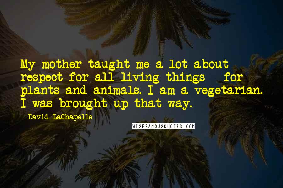 David LaChapelle Quotes: My mother taught me a lot about respect for all living things - for plants and animals. I am a vegetarian. I was brought up that way.