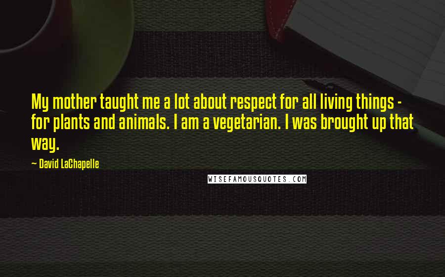 David LaChapelle Quotes: My mother taught me a lot about respect for all living things - for plants and animals. I am a vegetarian. I was brought up that way.