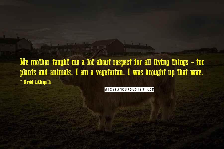 David LaChapelle Quotes: My mother taught me a lot about respect for all living things - for plants and animals. I am a vegetarian. I was brought up that way.