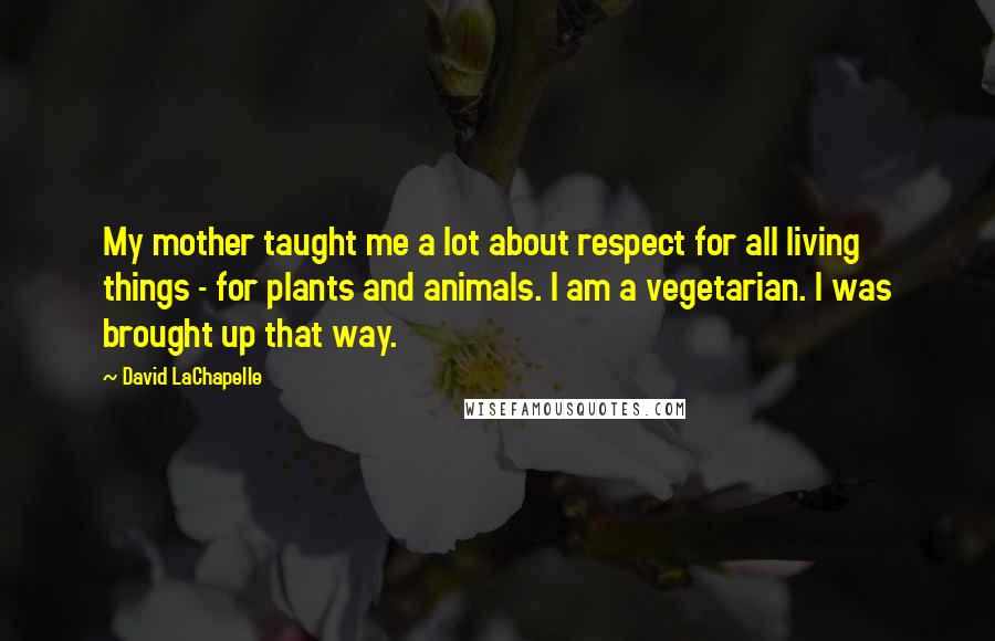 David LaChapelle Quotes: My mother taught me a lot about respect for all living things - for plants and animals. I am a vegetarian. I was brought up that way.