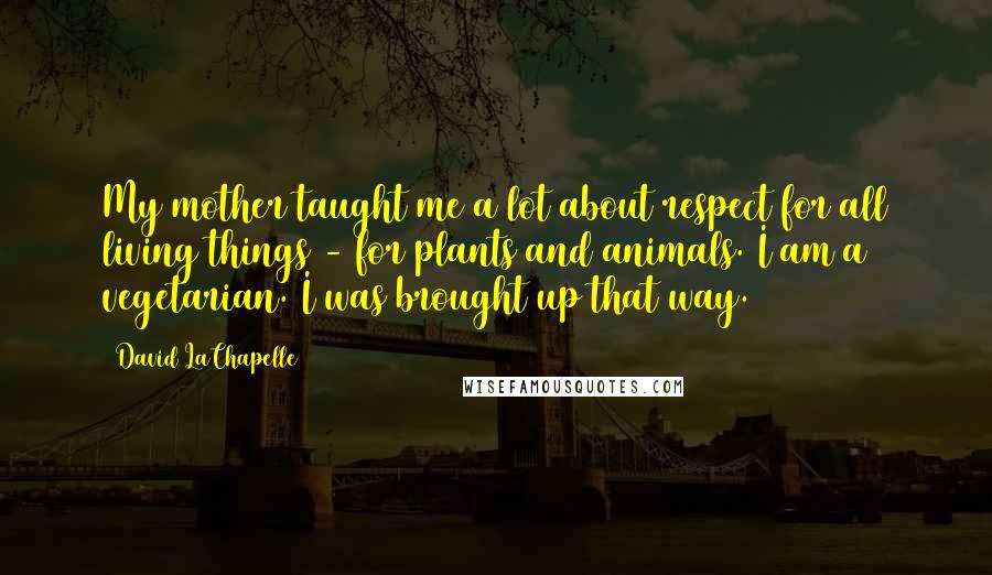 David LaChapelle Quotes: My mother taught me a lot about respect for all living things - for plants and animals. I am a vegetarian. I was brought up that way.