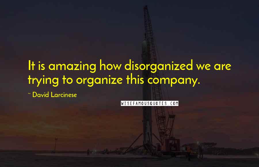 David Larcinese Quotes: It is amazing how disorganized we are trying to organize this company.
