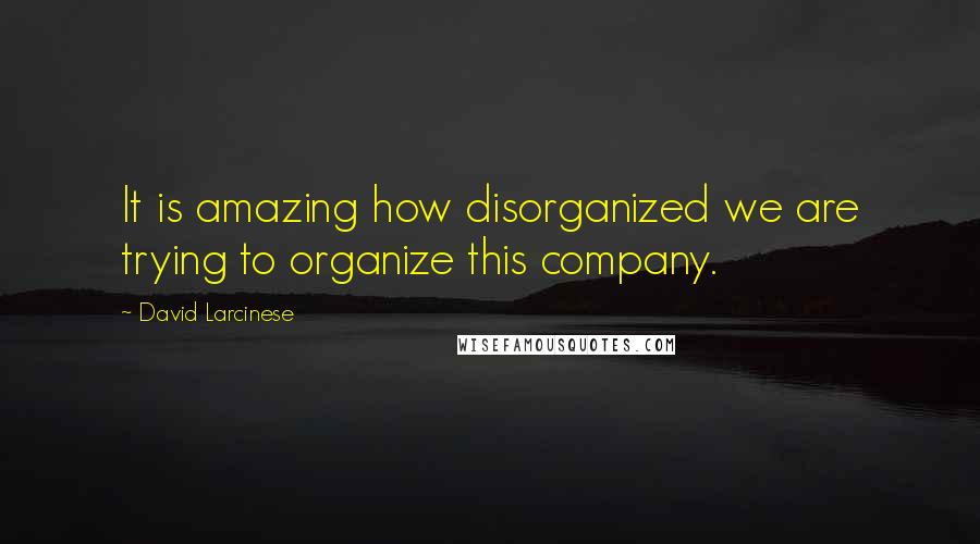 David Larcinese Quotes: It is amazing how disorganized we are trying to organize this company.