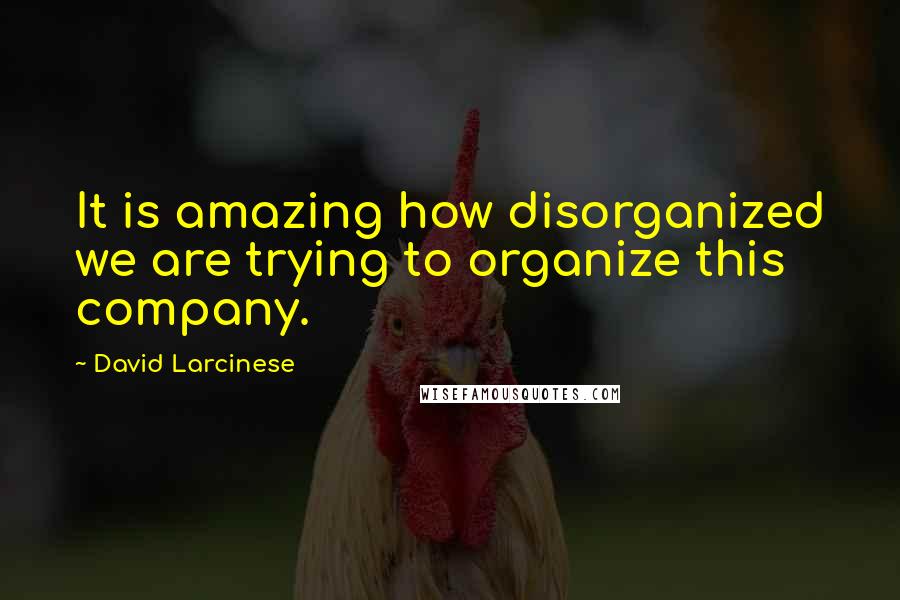 David Larcinese Quotes: It is amazing how disorganized we are trying to organize this company.