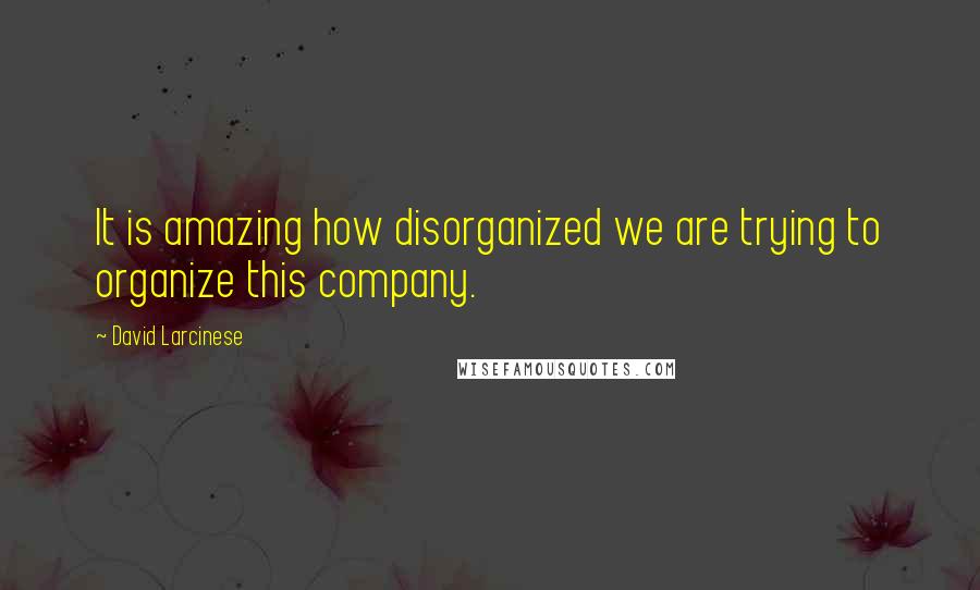 David Larcinese Quotes: It is amazing how disorganized we are trying to organize this company.