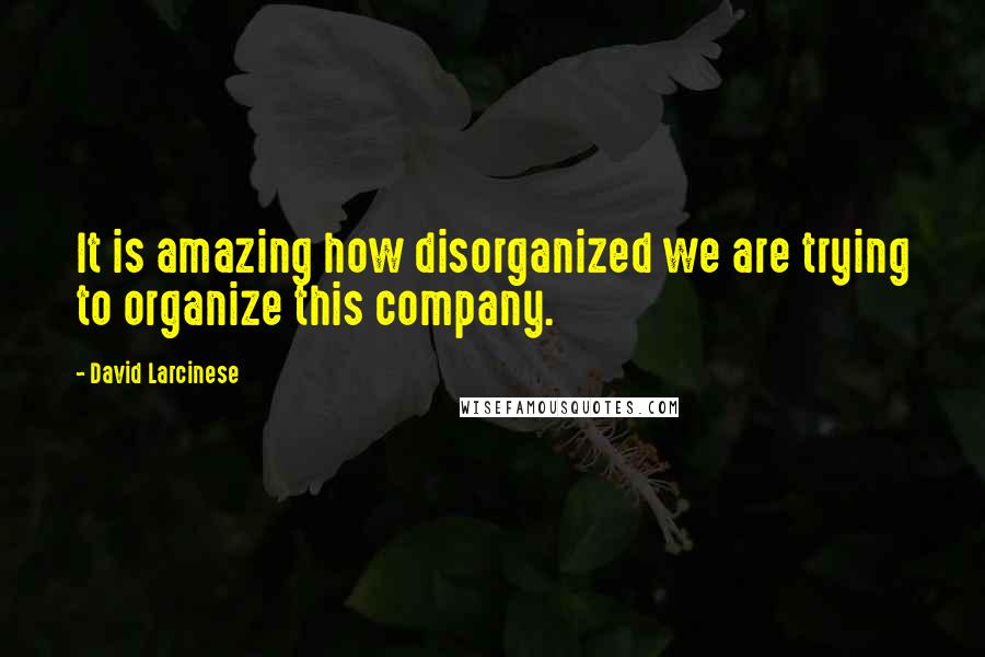 David Larcinese Quotes: It is amazing how disorganized we are trying to organize this company.