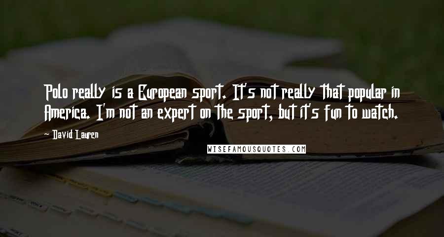 David Lauren Quotes: Polo really is a European sport. It's not really that popular in America. I'm not an expert on the sport, but it's fun to watch.