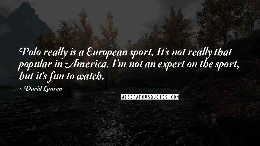 David Lauren Quotes: Polo really is a European sport. It's not really that popular in America. I'm not an expert on the sport, but it's fun to watch.