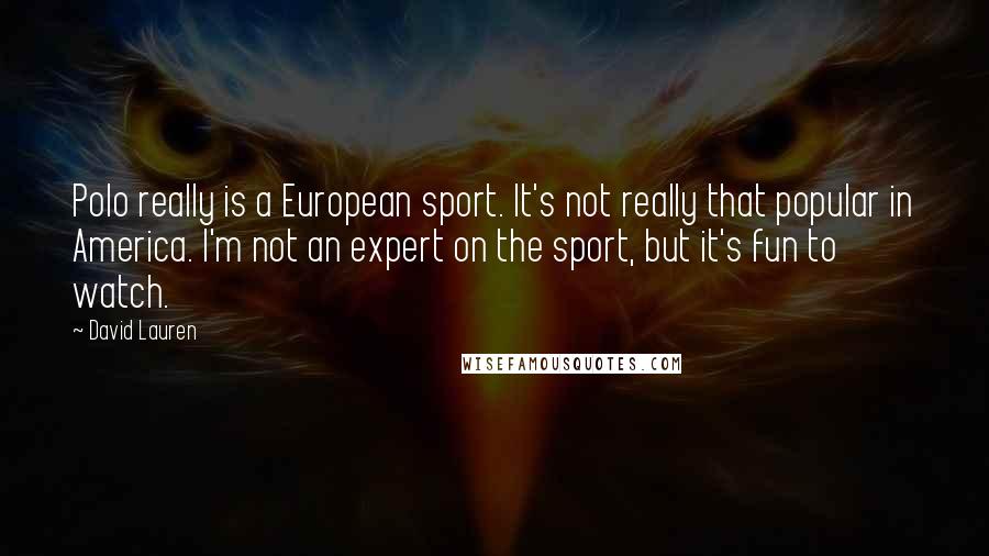 David Lauren Quotes: Polo really is a European sport. It's not really that popular in America. I'm not an expert on the sport, but it's fun to watch.