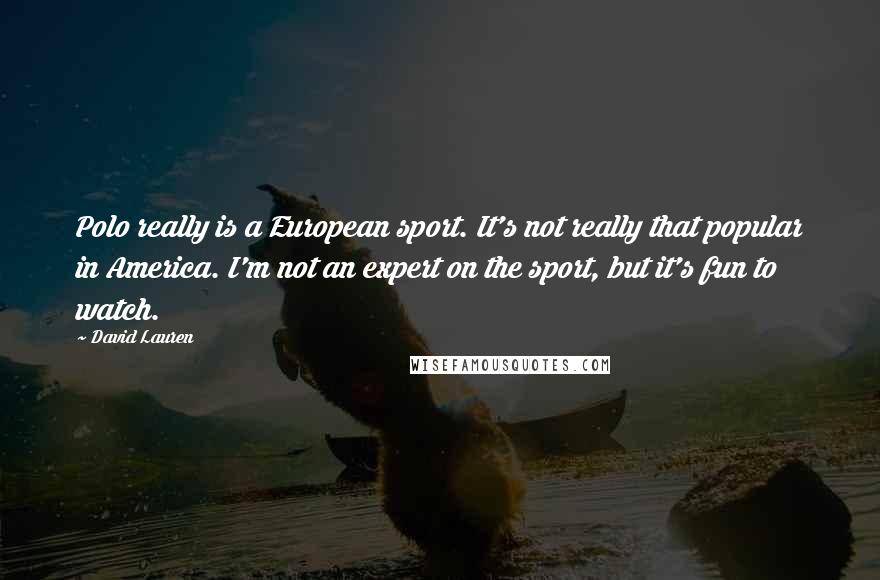 David Lauren Quotes: Polo really is a European sport. It's not really that popular in America. I'm not an expert on the sport, but it's fun to watch.