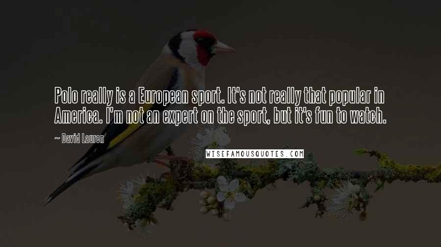 David Lauren Quotes: Polo really is a European sport. It's not really that popular in America. I'm not an expert on the sport, but it's fun to watch.