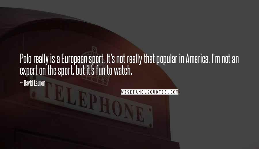 David Lauren Quotes: Polo really is a European sport. It's not really that popular in America. I'm not an expert on the sport, but it's fun to watch.