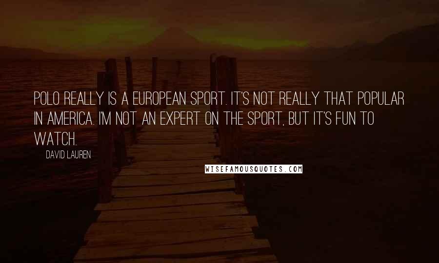 David Lauren Quotes: Polo really is a European sport. It's not really that popular in America. I'm not an expert on the sport, but it's fun to watch.