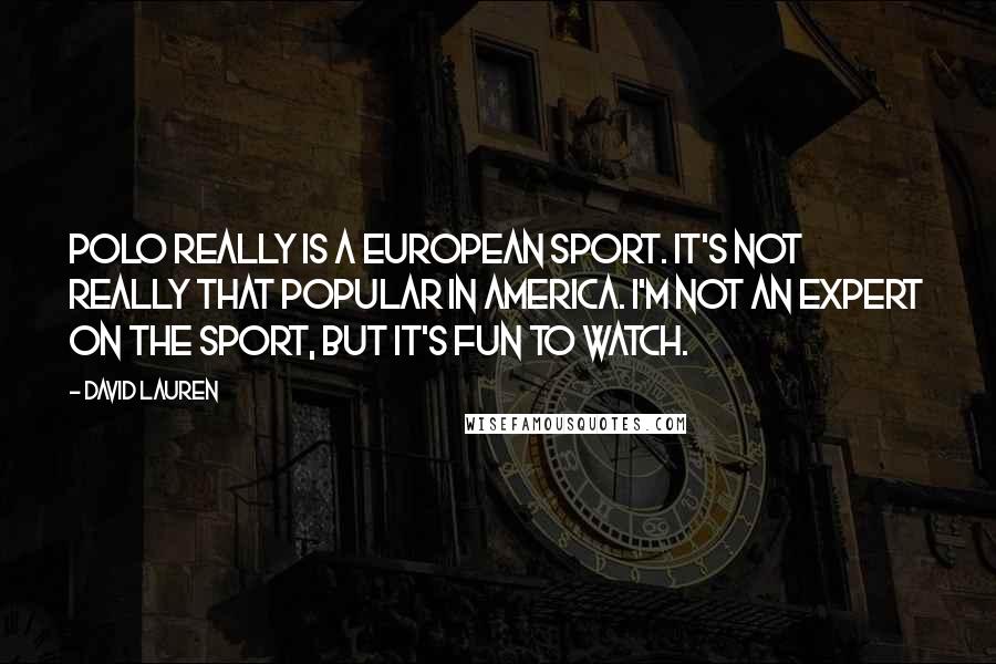 David Lauren Quotes: Polo really is a European sport. It's not really that popular in America. I'm not an expert on the sport, but it's fun to watch.