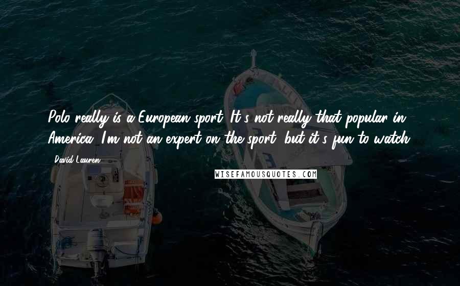 David Lauren Quotes: Polo really is a European sport. It's not really that popular in America. I'm not an expert on the sport, but it's fun to watch.