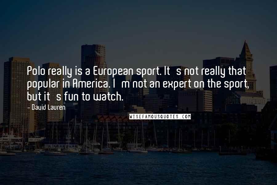 David Lauren Quotes: Polo really is a European sport. It's not really that popular in America. I'm not an expert on the sport, but it's fun to watch.