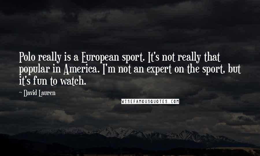 David Lauren Quotes: Polo really is a European sport. It's not really that popular in America. I'm not an expert on the sport, but it's fun to watch.